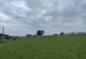 Detached villa with land for sale on España, Villaviciosa, ref: TR275217 photo
