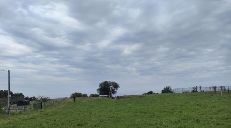 Asturias - Villaviciosa - 2818m2
