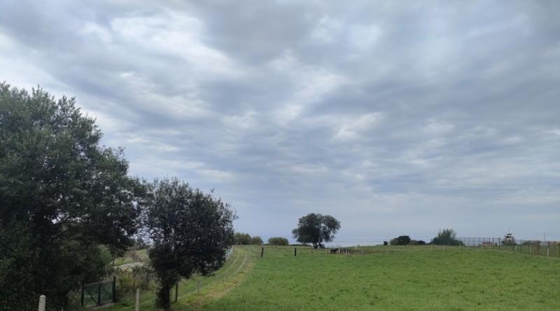 Asturias - Villaviciosa - 2818m2