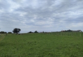 Detached villa with land for sale on España, Villaviciosa, ref: TR275217 photo