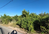 Городская земля под застройку на продажу у города Мурсия Фото