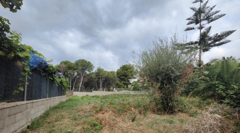 Navarra - Cortes - 401m2