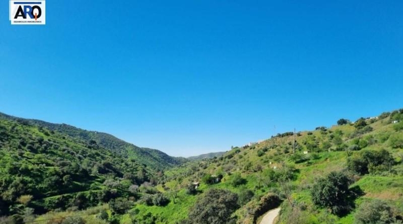 Málaga - Málaga - 35000m2