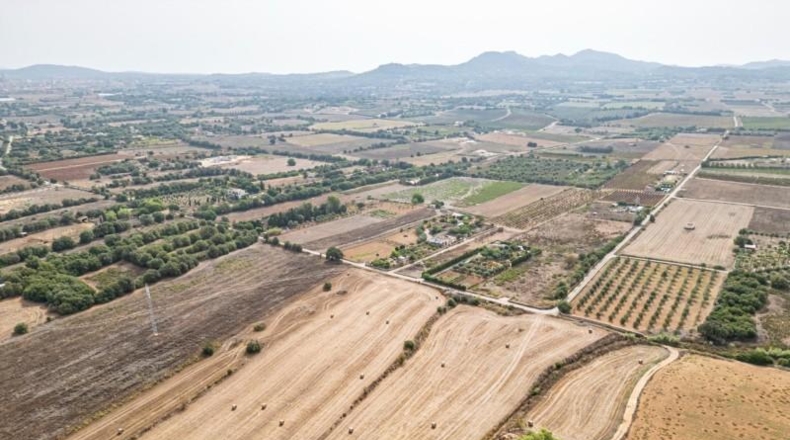 Illes Balears - Manacor - 15405m2