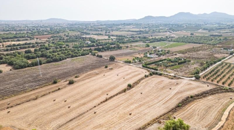 Illes Balears - Manacor - 15405m2