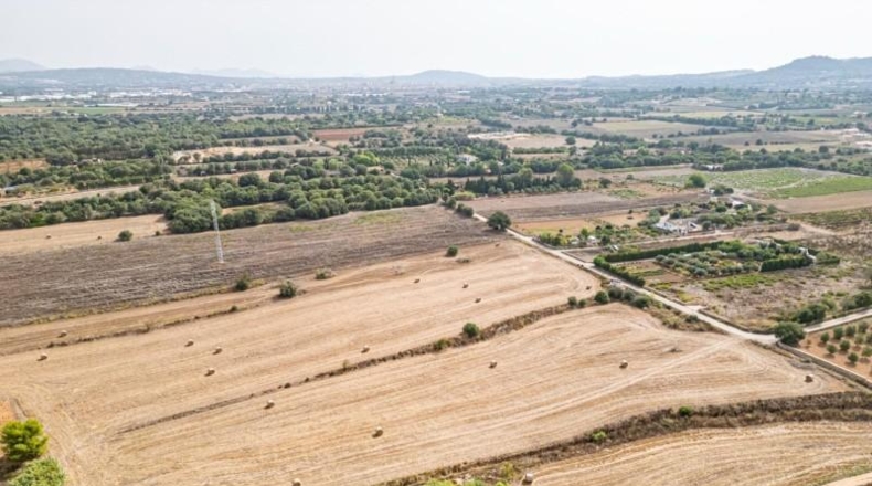 Illes Balears - Manacor - 15405m2