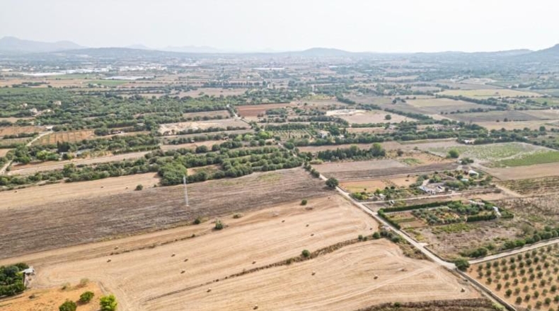 Illes Balears - Manacor - 15405m2