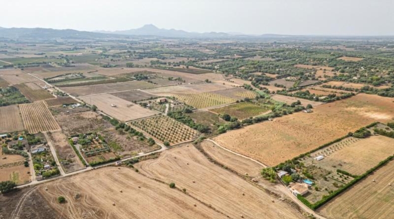 Illes Balears - Manacor - 15405m2