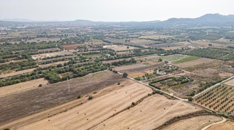 Illes Balears - Manacor - 15405m2