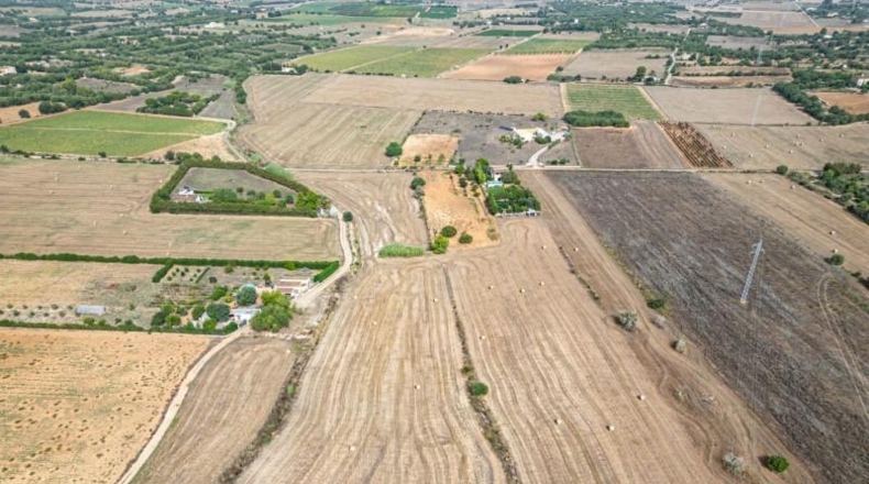 Illes Balears - Manacor - 15405m2