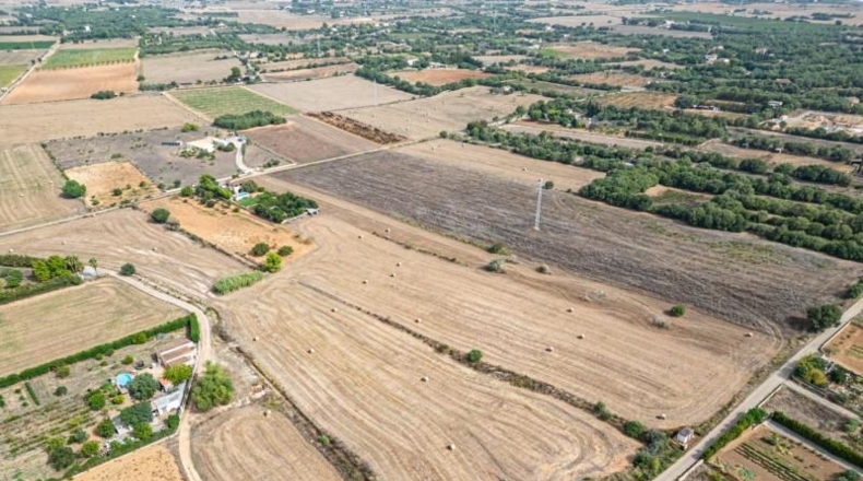Illes Balears - Manacor - 15405m2