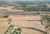 Terreny no urbanitzable en venda a la España, Manacor, ref.: TR412344 foto