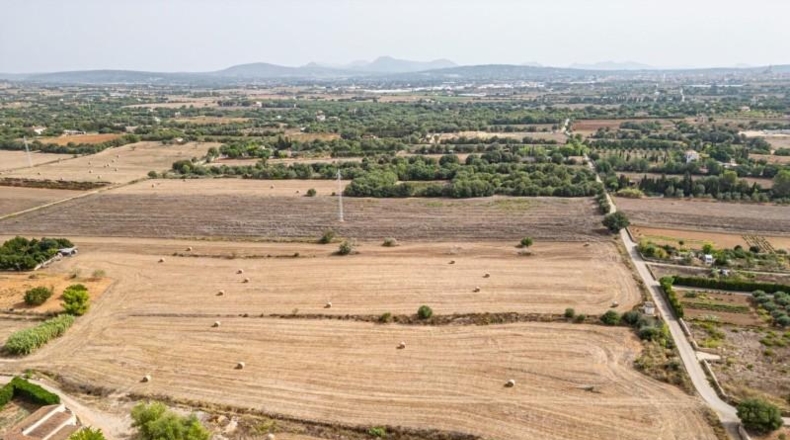 Illes Balears - Manacor - 15405m2