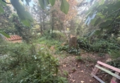 Detached villa with land for sale on España, la Joncosa del Montmell, ref: TR412349 photo