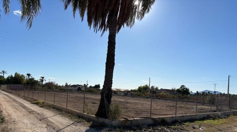 Alicante - Elche - 10501m2