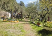Detached villa with land for sale on España, Sóller, ref: TR412353 photo