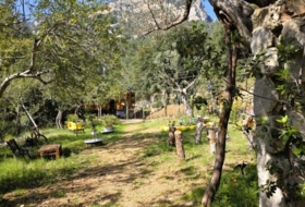 Foto 3