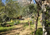 Detached villa with land for sale on España, Sóller, ref: TR412353 photo