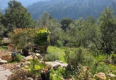 Detached villa with land for sale on España, Sóller, ref: TR412353 photo