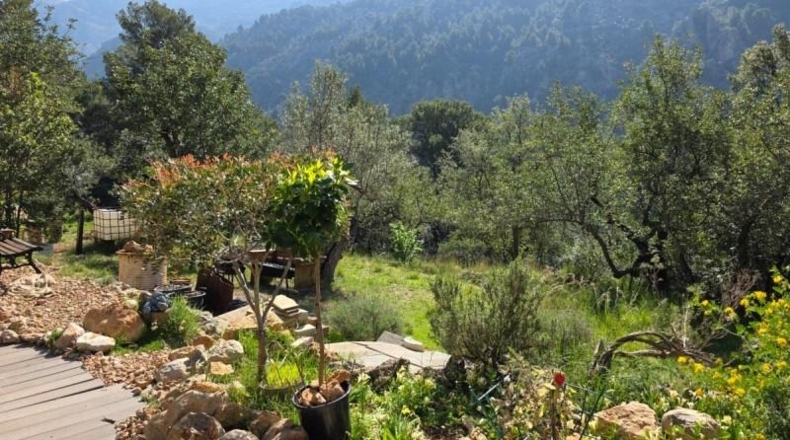 Illes Balears - Sóller - 9087m2
