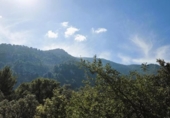 Detached villa with land for sale on España, Sóller, ref: TR412353 photo
