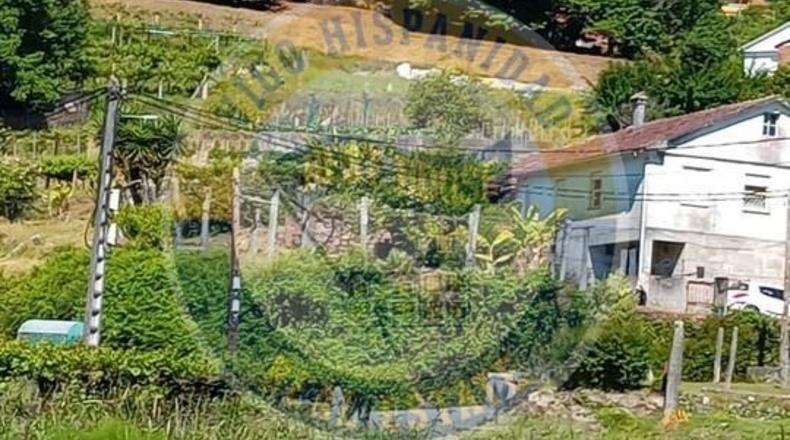 Pontevedra - Tomiño - 3683m2