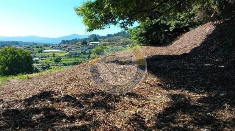 Pontevedra - Tomiño - 3683m2