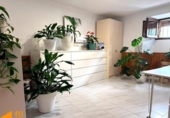 Detached villa with land for sale on España, Castellanos de Castro, ref: TR412360 photo