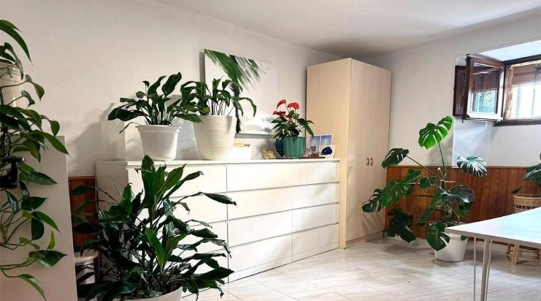Burgos - Castellanos de Castro - 330m2