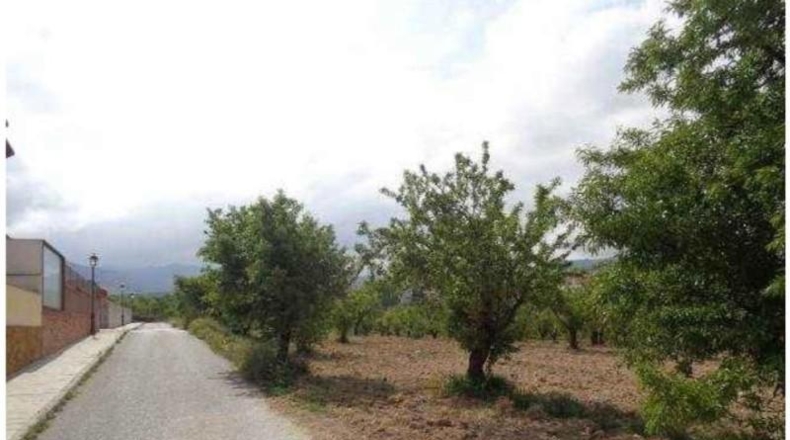Granada - Gójar - 15000m2