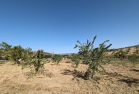 Alhama de Granada 25834&nbsp;m²
