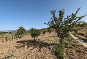 Alhama de Granada 25834&nbsp;m²