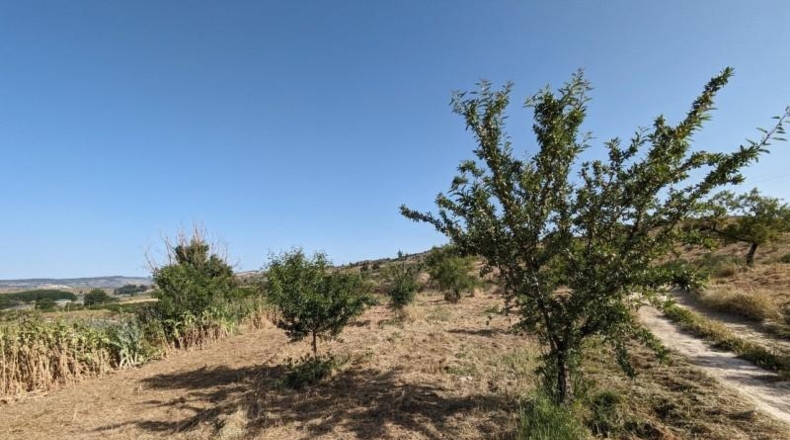 Гранада - Alhama de Granada - 25834m2