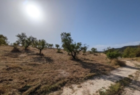 Alhama de Granada 25834&nbsp;m²