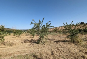 Alhama de Granada 25834&nbsp;m²