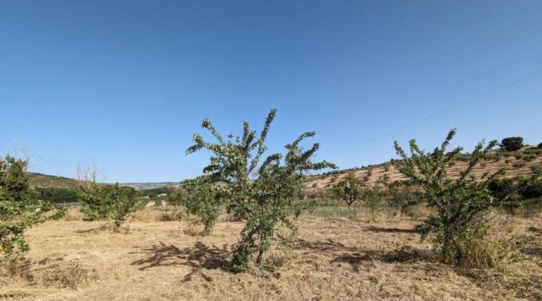 Гранада - Alhama de Granada - 25834m2