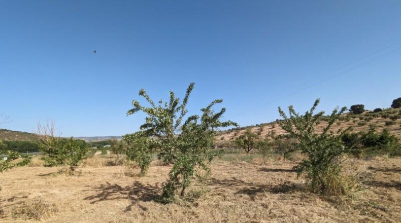 Гранада - Alhama de Granada - 25834m2