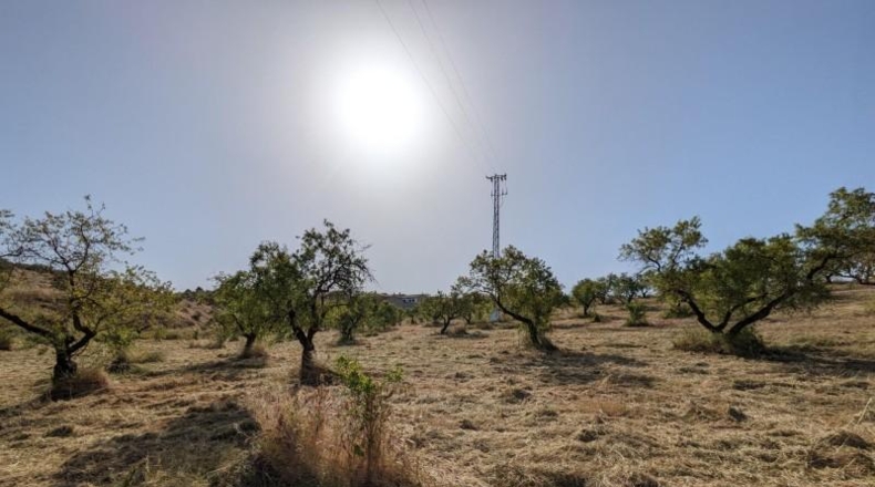 Гранада - Alhama de Granada - 25834m2