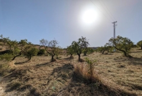 Alhama de Granada 25834&nbsp;m²