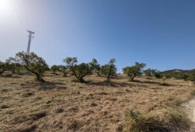 Alhama de Granada 25834&nbsp;m²