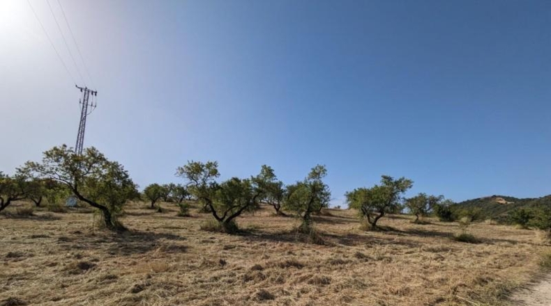 Гранада - Alhama de Granada - 25834m2