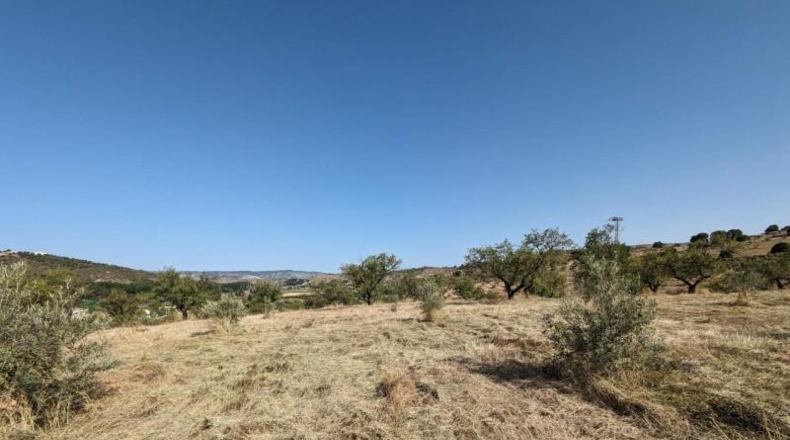 Гранада - Alhama de Granada - 25834m2