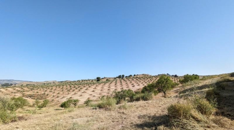 Гранада - Alhama de Granada - 25834m2