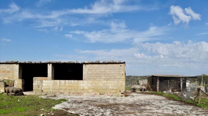 Córdoba - Fuente Obejuna - 257600m2