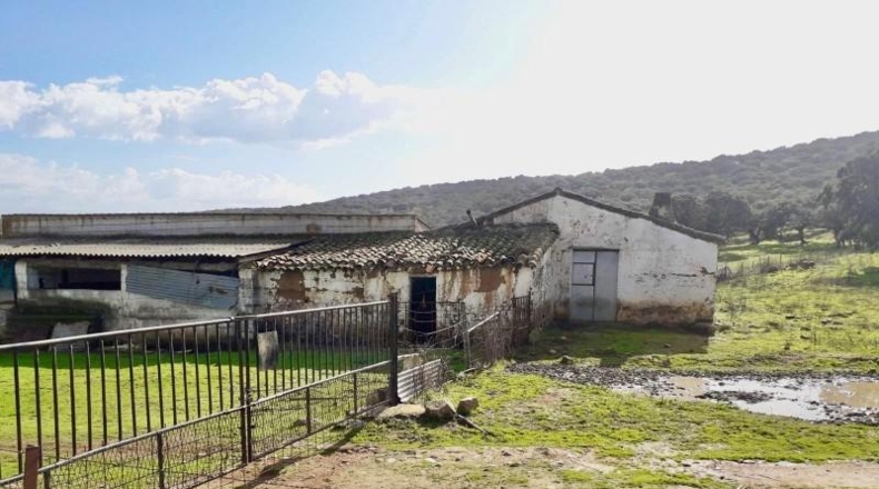 Córdoba - Fuente Obejuna - 257600m2