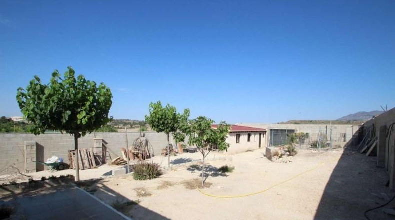 Alicante - Эльче - 3300m2