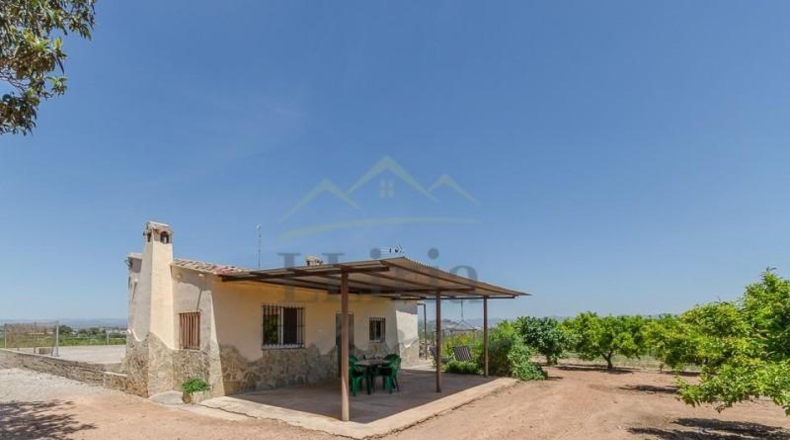 Valencia - Villamarchante - 31353m2