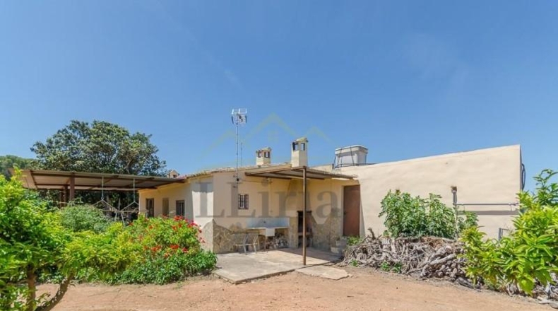 Valencia - Villamarchante - 31353m2