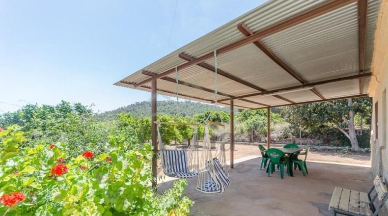 Valencia - Villamarchante - 31353m2