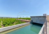 Detached villa with land for sale on España, Villamarchante, ref: TR412379 photo